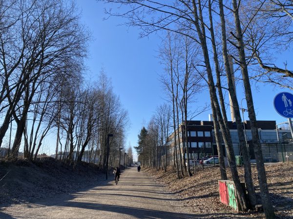 ラハティの並木道