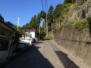 IMG_6184