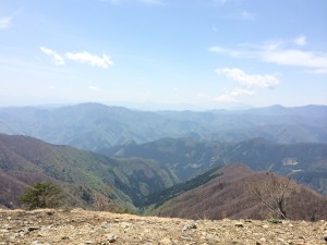 IMG_6194