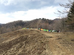 IMG_6202