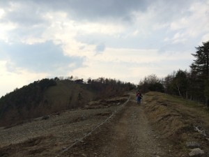 IMG_6205