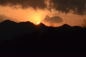 IMG_6219
